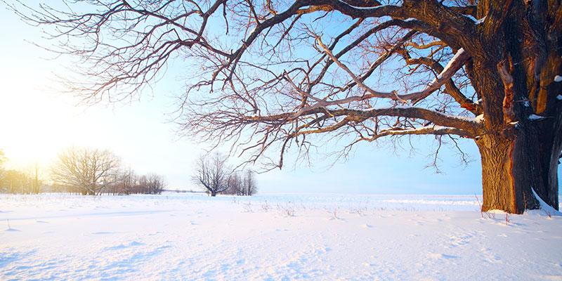 Schöner Winter – Ein Nachmittag für Frauen ab 55